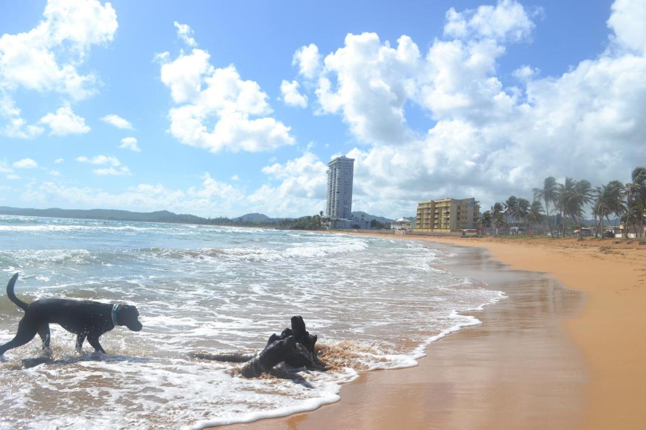 Dream Beach House By Sonsolea Host Luquillo Exterior foto